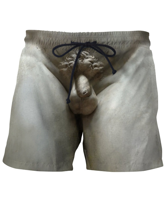 David Swim Shorts